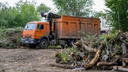 Вырубку деревьев под школу бокса Сергея Ковалева в центре Челябинска признали незаконной
