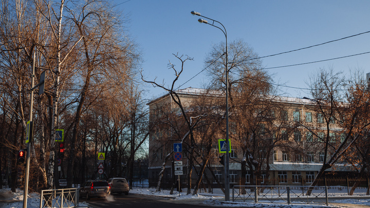 После обращения тюменца приостановили обрезку более 250 деревьев по улице Хохрякова