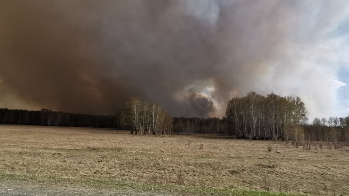 «Из окна уже видно, как всё горит»: в Челябинской области крупный лесной пожар подобрался к поселкам