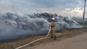 Эвакуировали скот и людей: появилось видео пожара на ферме в Самарской области