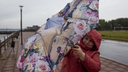«Охватила зона штормовых ветров»: синоптики предупредили об ухудшении погоды в Ярославской области