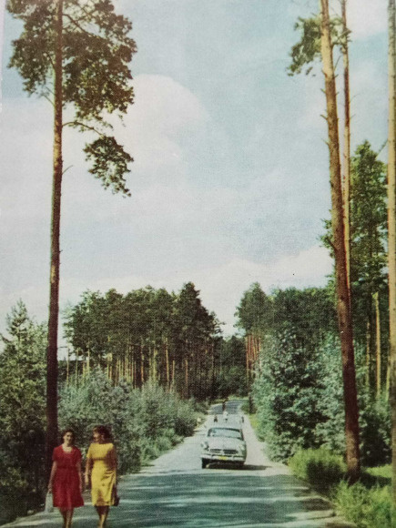 Дорога, ведущая к генеральским дачам Дорога, ведущая к генеральским дачам