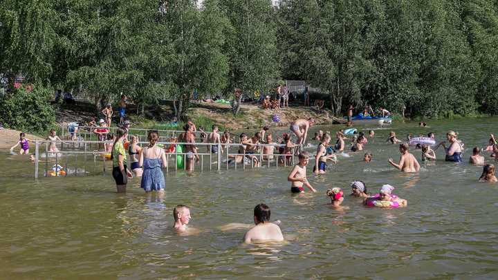 Россельхознадзор проверит 17 водоемов Нижегородской области из-за случаев заболевания церкариозом
