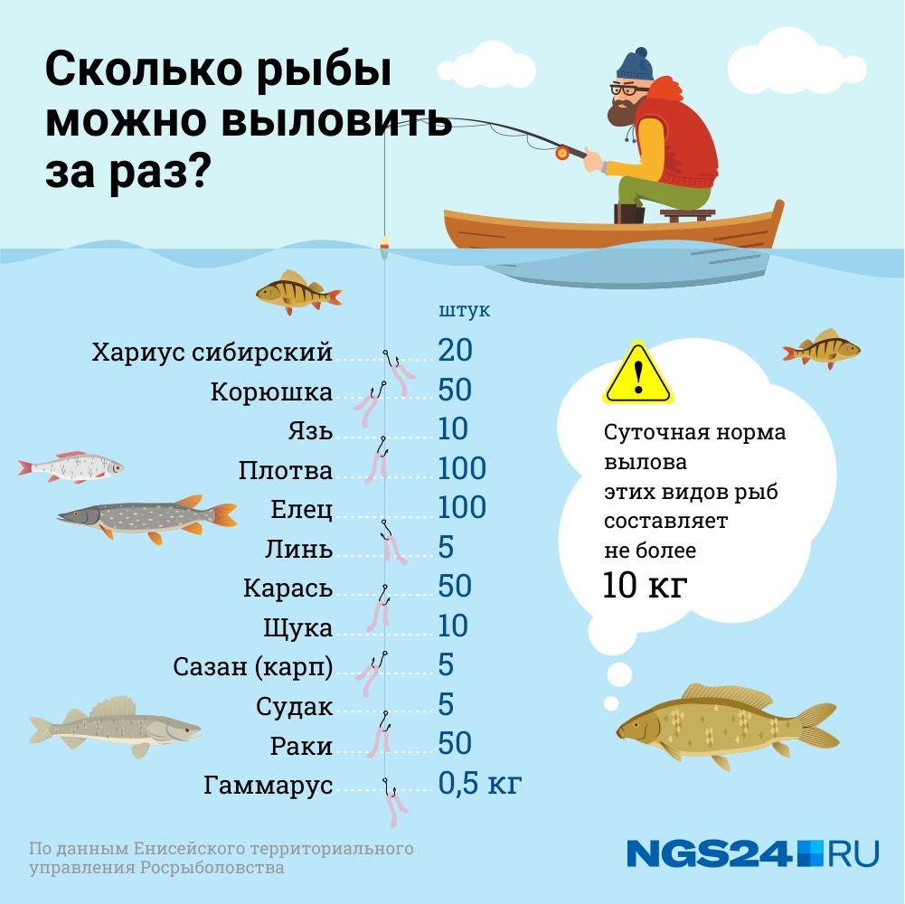 Следите за количеством выловленной рыбы — она не должна превышать обозначенное количество единиц и вес. За выловленное сверх нормы предусмотрен штраф (например, хариус оценивают <nobr class="_">в 925 рублей</nobr>, а в период ограничений сумма в два раза выше)