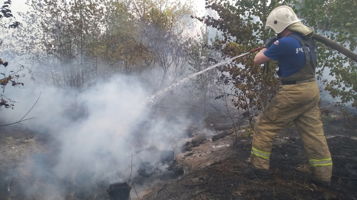Видео: в Тольятти пламя «съело» 152 гектара леса в Центральном районе