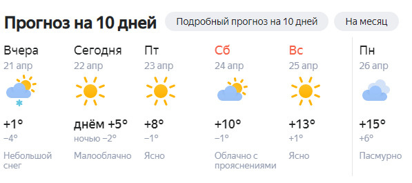 Погода в новосибирске дней нгс. Сколько градусов в Новосибирске сегодня.