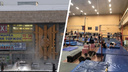 Депутаты Архгордумы обратятся к Цыбульскому с просьбой сохранить зал для акробатов во Дворце спорта