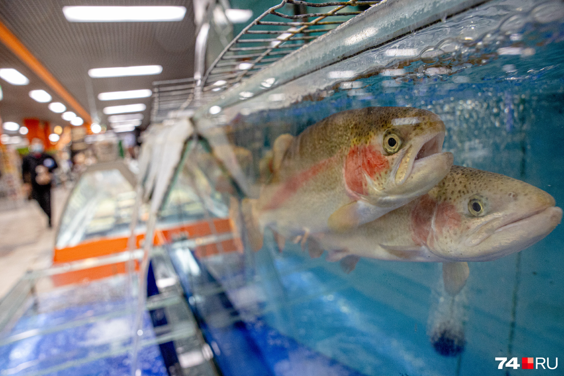 Живая рыба — тоже давняя фишка гипермаркета