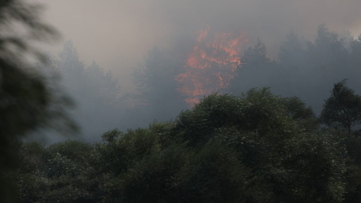 Очевидцы сняли лесной пожар около Нового Буяна на видео