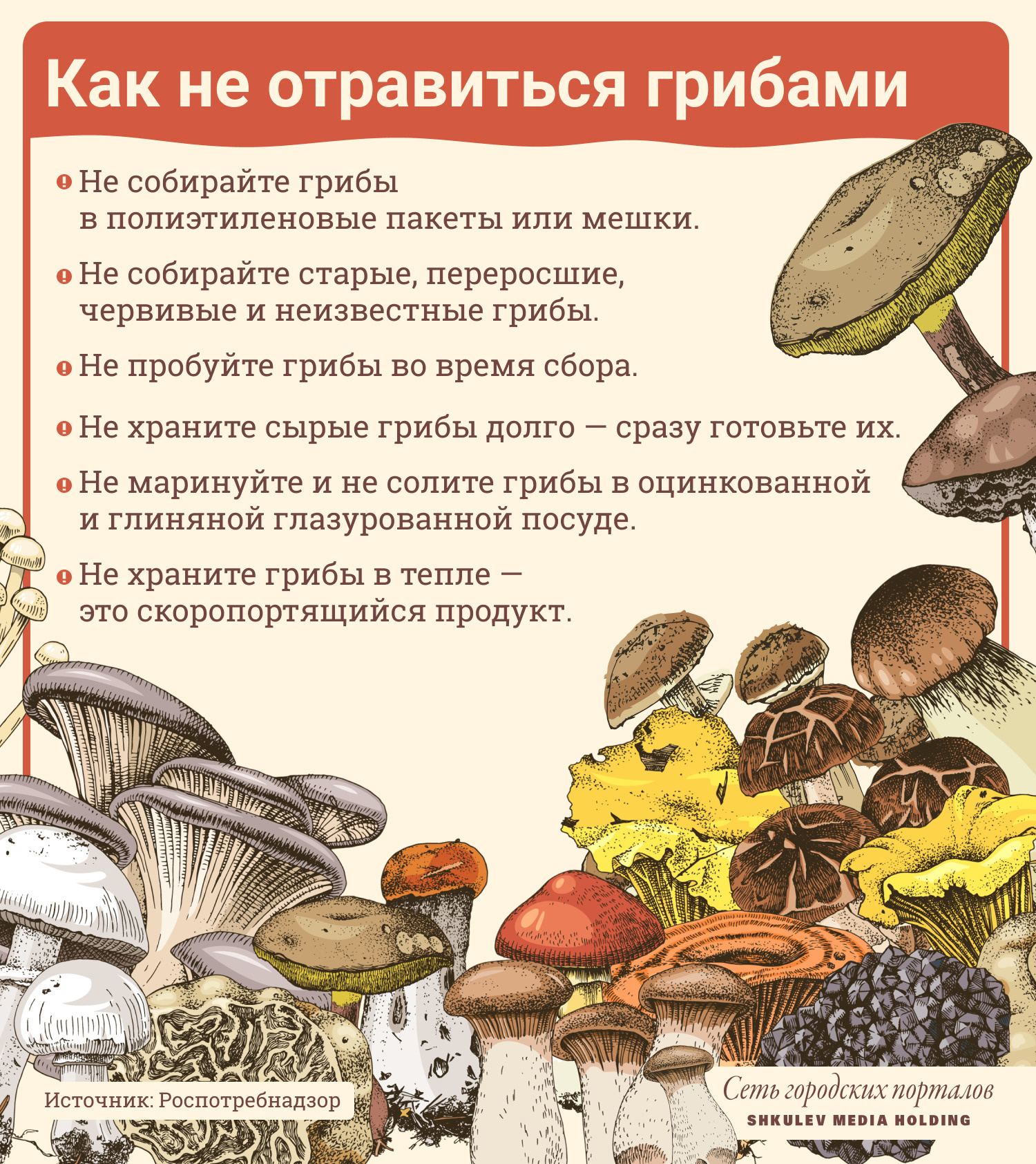 Какие грибы можно есть при подагре
