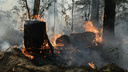 Властям Зауралья дали советы, как избежать масштабных лесных пожаров