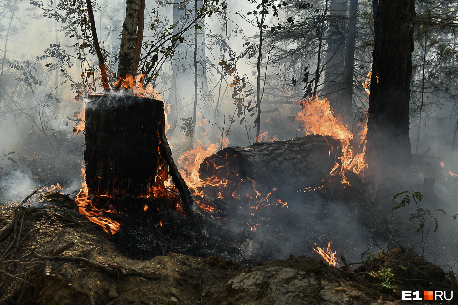 Лесной пожар локализован, тушение продолжается