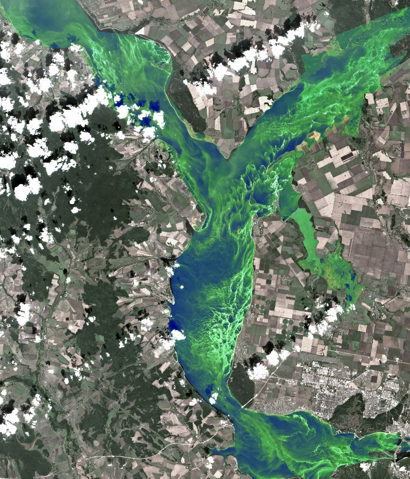 Куйбышевское водохранилище со спутника