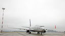 Самолет, летевший из Иркутска, экстренно сел в Новосибирске — пассажиру на борту стало плохо
