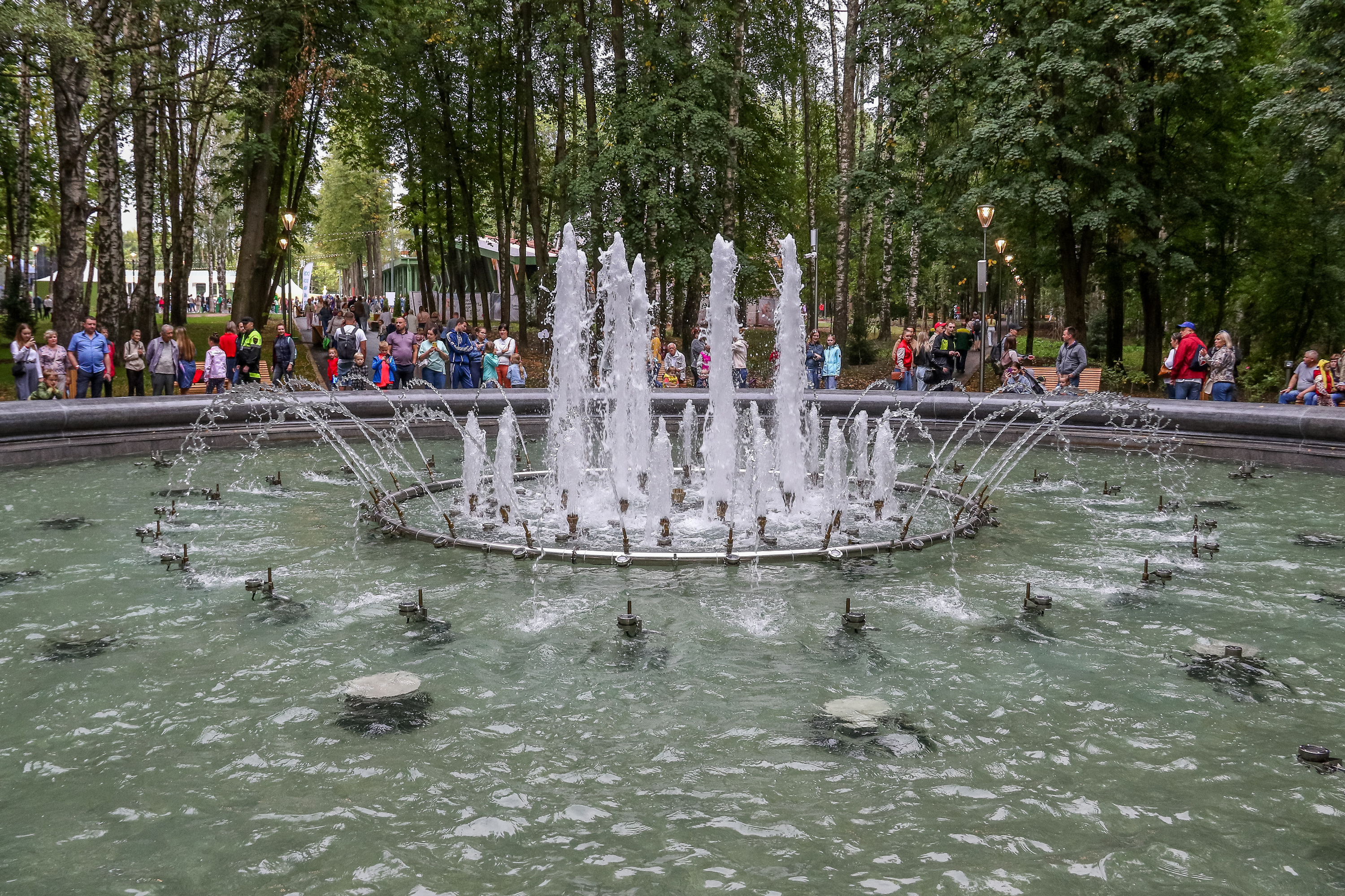 Парк Швейцария фонтан