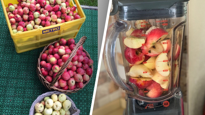 Спасаем яблоки правильно: как приготовить дома вкусную пастилу без лишних сложностей