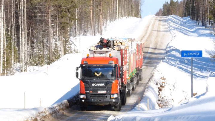 Вывоз леса увеличили и зарплаты прибавили: зачем в УЛК купили прицеп, которого больше нет в России