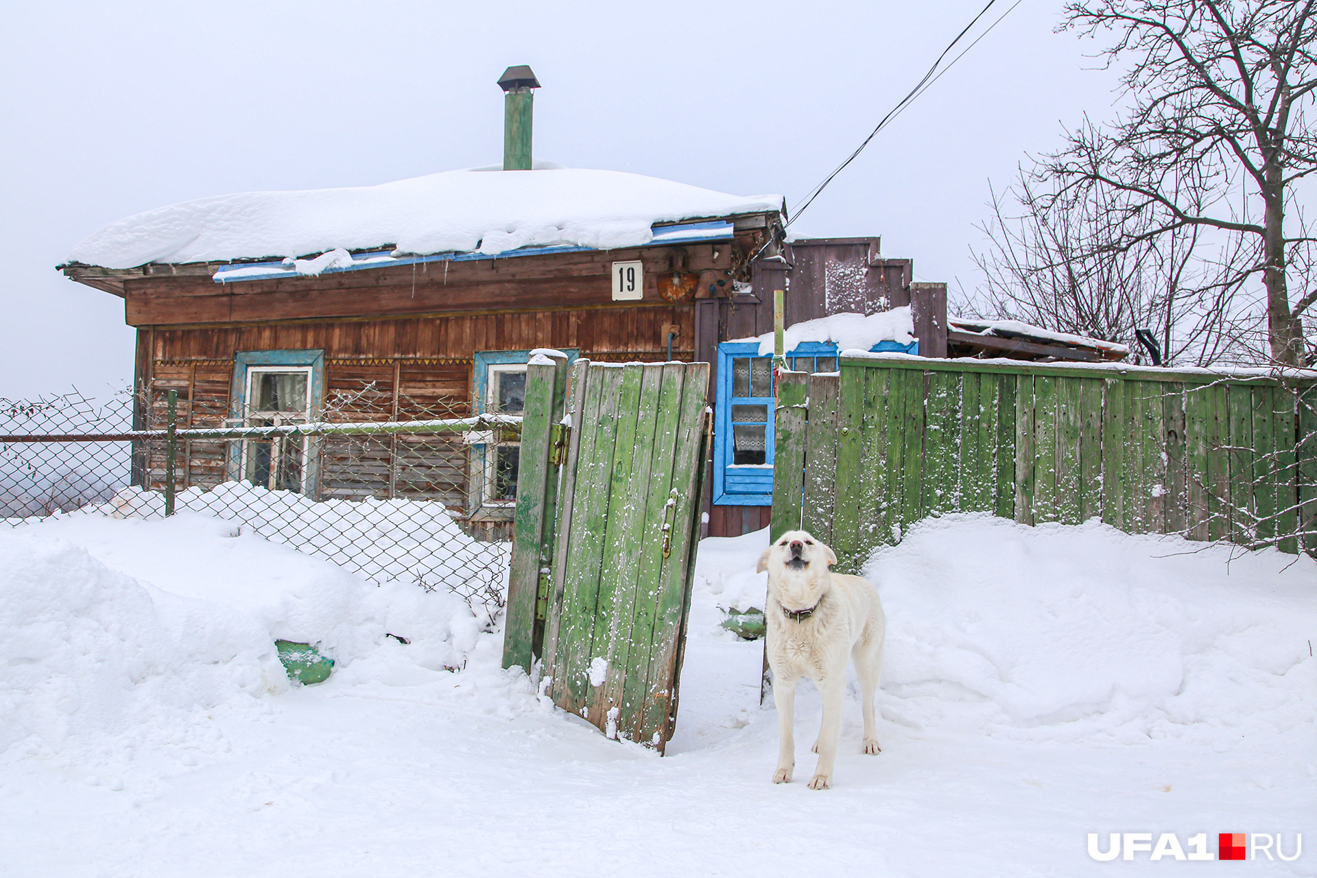 Днем тут слышен лишь лай собак Днем тут слышен лишь лай собак