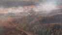 Природный пожар в Борском районе локализовали, в Кинельском — потушили