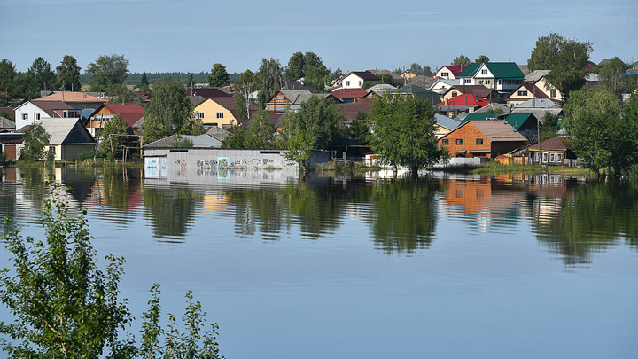 Миллионы за убитый урожай: сколько выплатили пострадавшим от наводнения в Свердловской области