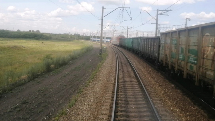 В Кузбассе поезд сбил лошадей. Рассказываем подробности