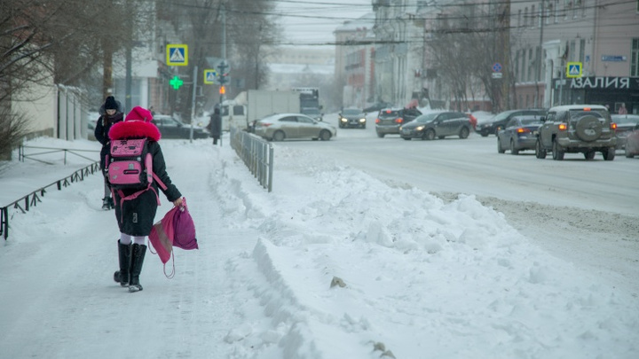 «На улице -28 °С, совести нет»: челябинцы возмущены, что из-за мороза не отменили уроки в школах