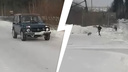 На Урале мужчина расстрелял собаку из охотничьего ружья