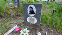 В Кургане хотят создать кладбище для домашних животных