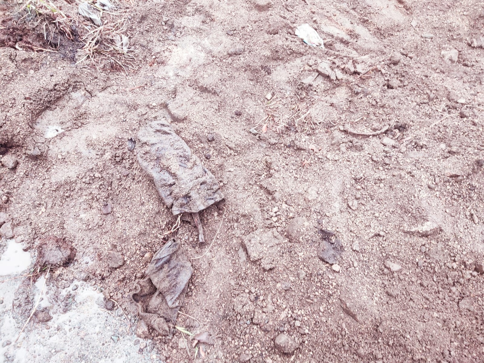 На глубине около 4 метров нашли сапог, из которого, по словам Юрия Латышева, выглядывает кость