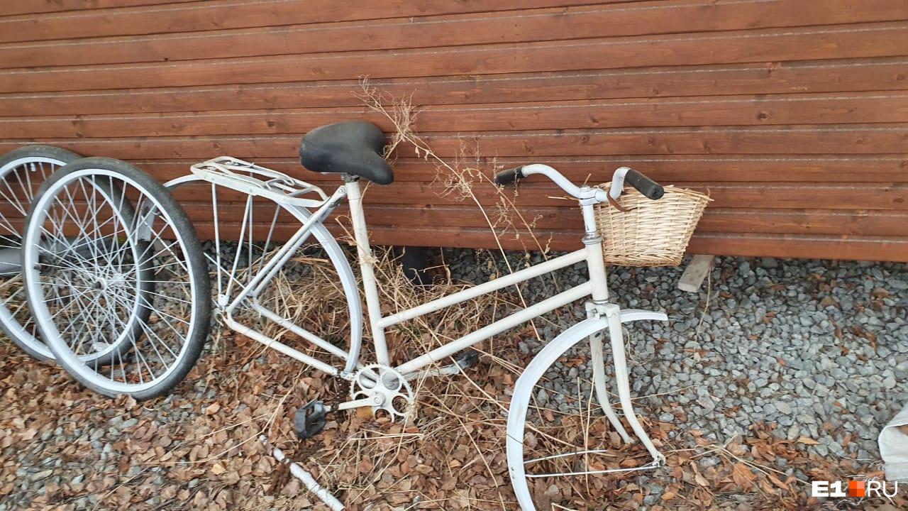 Дмитрий пытался починить велосипед, но не смог. Никто из соседей так и не видел, чтобы на нем ездили