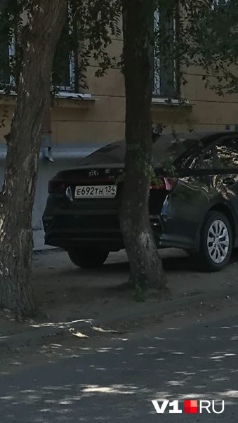 Природа иногда сама учит таких автовладельцев