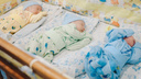 Кофи-Амоако и Эмберли-Роуз: какие еще имена получали младенцы в Новосибирской области в 2020 году