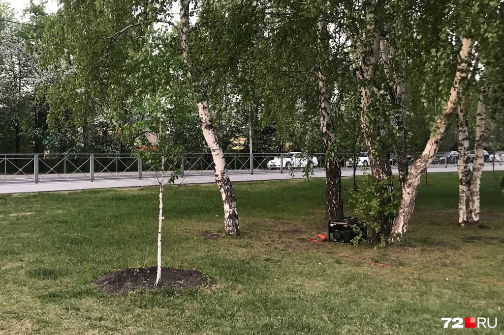 Мы заметили, что многие предприниматели уносят генераторы подальше от точек продаж. Этот, например, унесли от тротуара под дерево к дороге. Видимо, шум раздражает и продавцов, и гуляющих Мы заметили, что многие предприниматели уносят генераторы подальше от точек продаж. Этот, например, унесли от тротуара под дерево к дороге. Видимо, шум раздражает и продавцов, и гуляющих