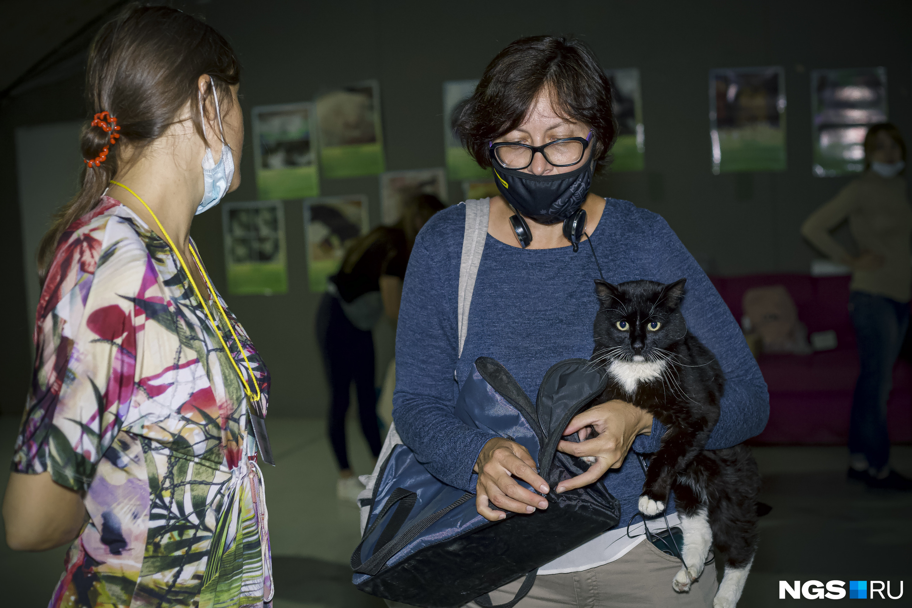 По словам волонтера, прижиться у новых хозяев могут не только котята, но и взрослые коты и собаки. Главное — дать им время на адаптацию