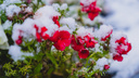 В Прикамье прогнозируют мокрый снег с дождем и гололедицу
