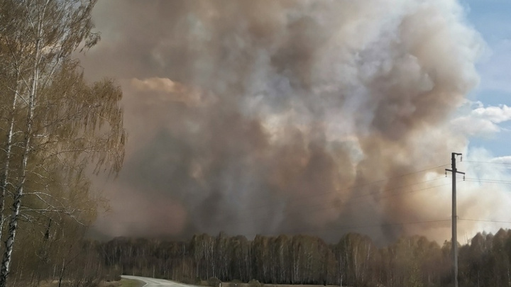 В Челябинской области в разгар горячего сезона уволились сотрудники лесопожарной станции