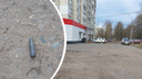«Было слышно автоматные очереди»: в Ярославле неизвестные устроили стрельбу у детсада