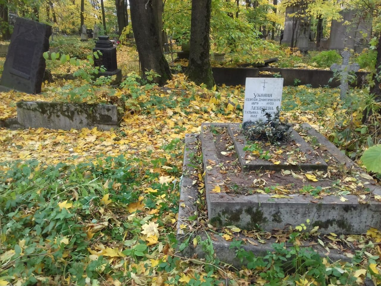 Где захоронен родственник. Могила Андрея белого на Новодевичьем кладбище. Кладбище Санкт-Петербурга.
