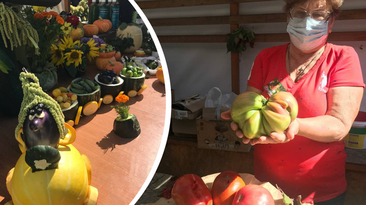 Тыква на 12 кг и килограммовый огурец: садоводы Красноярска померились огромными овощами