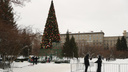 Главную елку Новосибирска начали разбирать — 10 фотографий с места