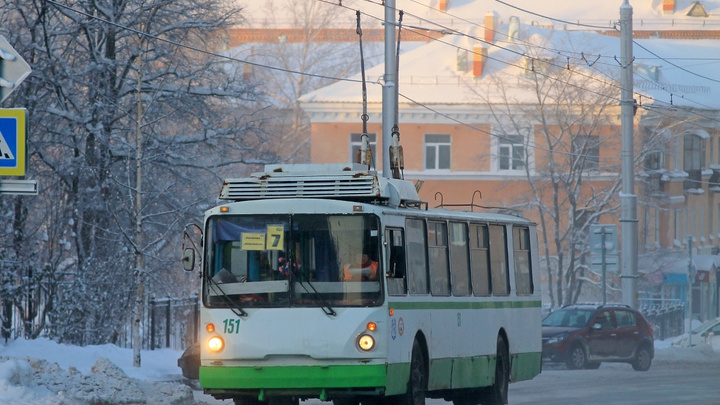В Березниках ищут очевидцев того, как кондуктор высадил из троллейбуса школьника без маски в мороз