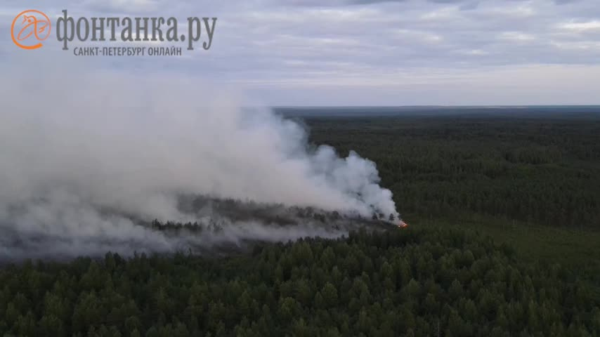 Китайцы строят дом в лесу