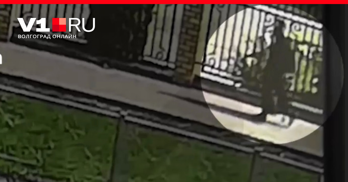 случаи стрельбы в школах