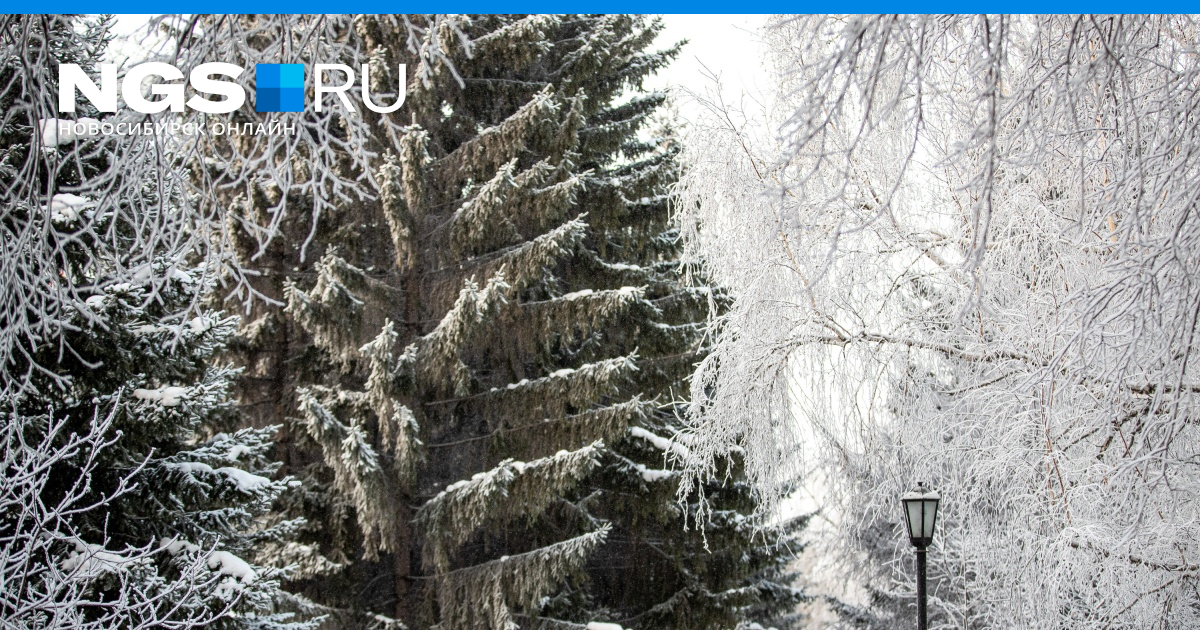 Расстает или растает снег. Новосибирск в феврале. Аномалия погоды в Новосибирской области в феврале.
