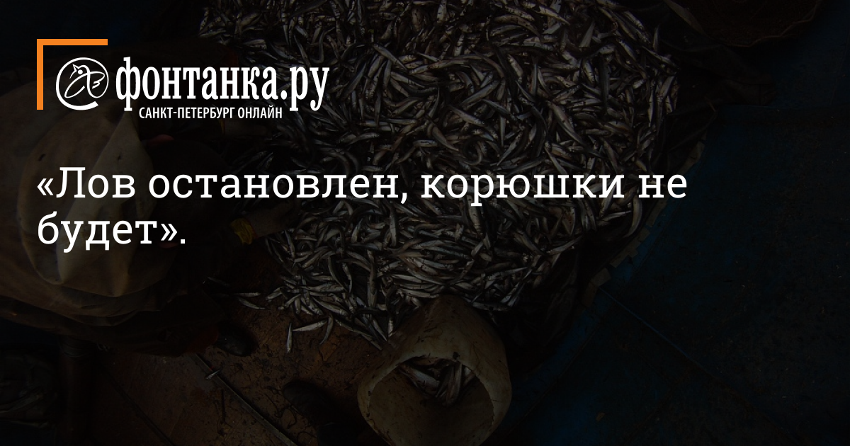Ловля корюшки с набережных Санкт-Петербурга - информация для рыбаков