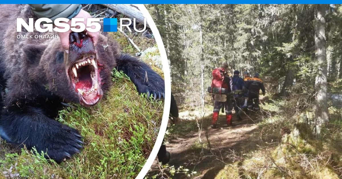 Спортсмен Илья Медведев убил медведя, напавшего на мужчин в тюменском лесу