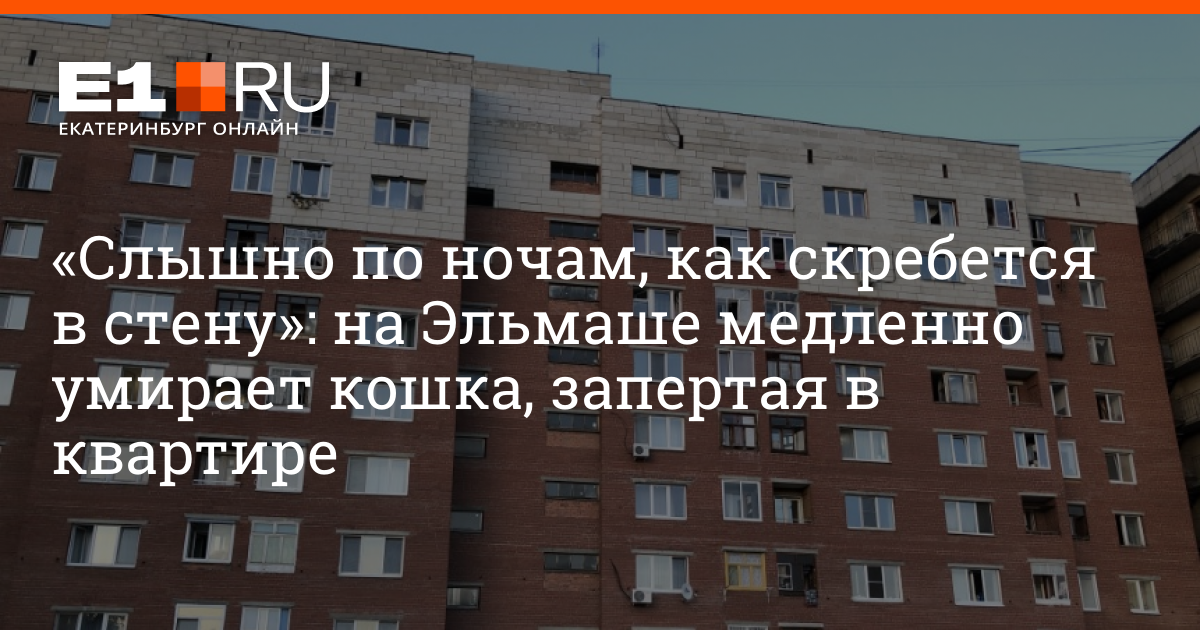 Врач на дом екатеринбург эльмаш. Что по ночам скребется в окна. Юля Эльмаш Екатеринбург.