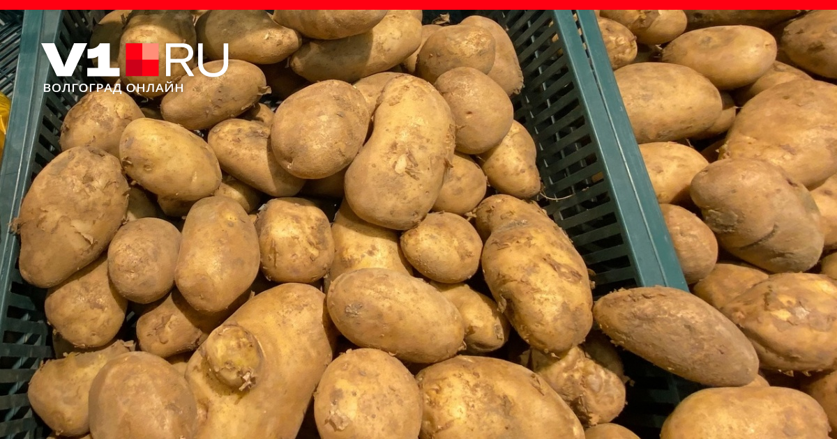 Килограмм картошки стоит 40 рублей. Картофель домашний. Картошка Волгоград. Мешок картошки. Сколько стоит кг картошки находка.