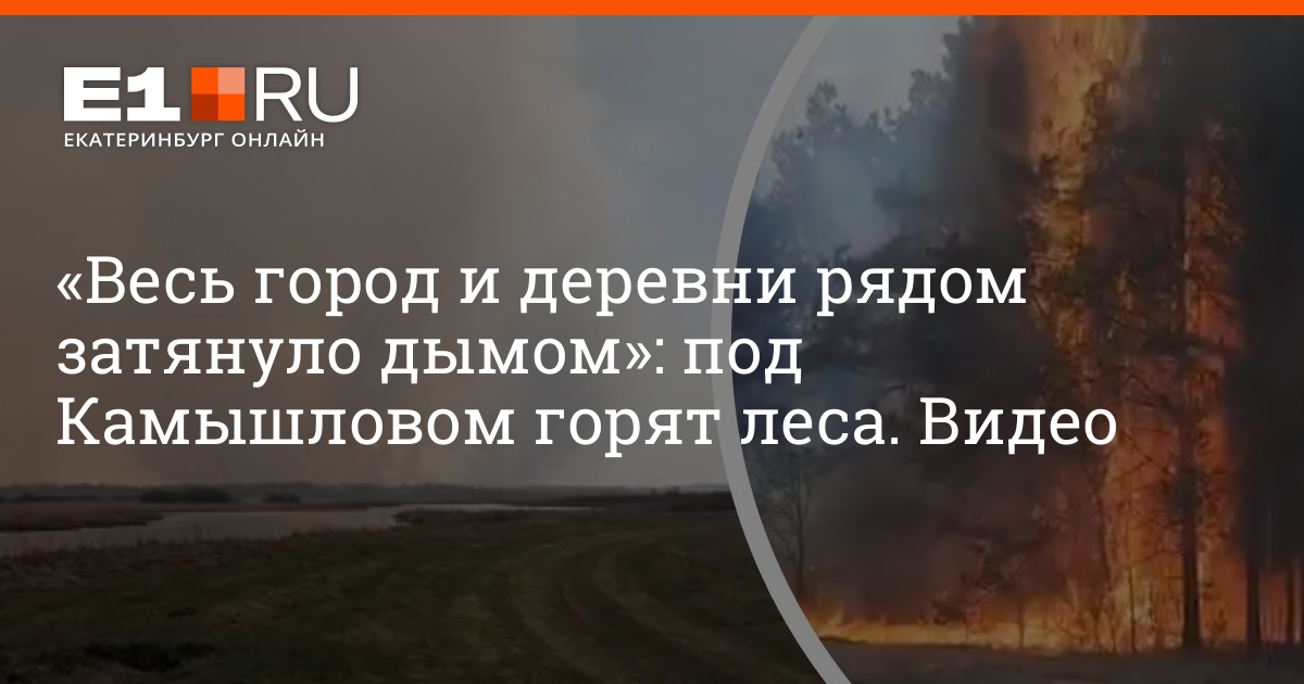 Затянем дым песня. Сектор газа я бычок подниму горький дым затяну. Я бычок подниму. Сиги с надписями. Затянем дым песня.