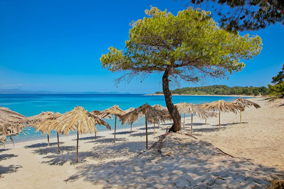 <b>В-четвертых</b>, местный средиземноморский климат мягок и благоприятен для здоровья. Только представьте себе: с одной стороны, идеально чистый морской воздух, насыщенный кислородом и йодом, а с другой — благодатное теплое солнце, сияющее в безоблачном синем небе над греческими курортами 310 дней в году!